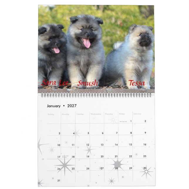Trumpet Keeshond Calendar (Jan 2027)
