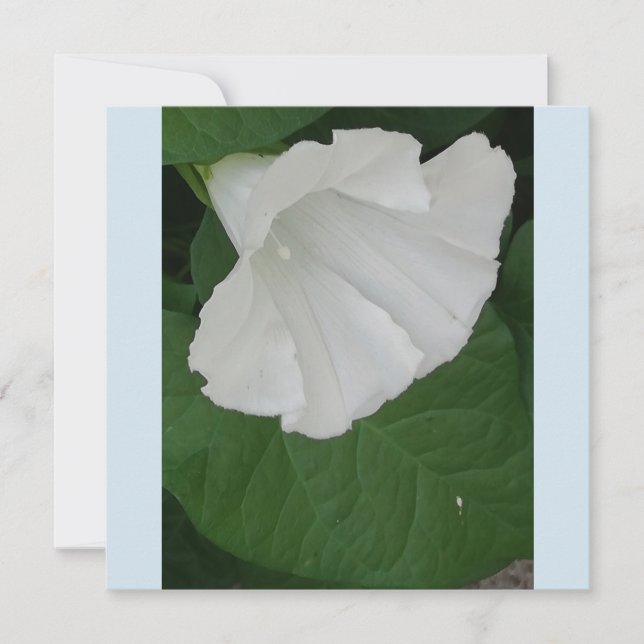Trumpet shaped white flower invitation (Front)