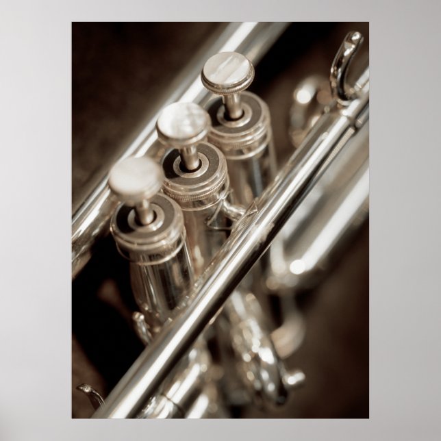 trumpet valves poster (Front)