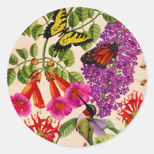 trumpet vine, butterfly bush, and bee balm classic round sticker