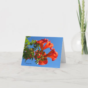 Trumpet vine & Honeysuckle Card
