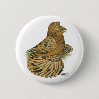 Trumpeter Pigeon Almond 6 Cm Round Badge