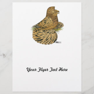 Trumpeter Pigeon Almond Flyer