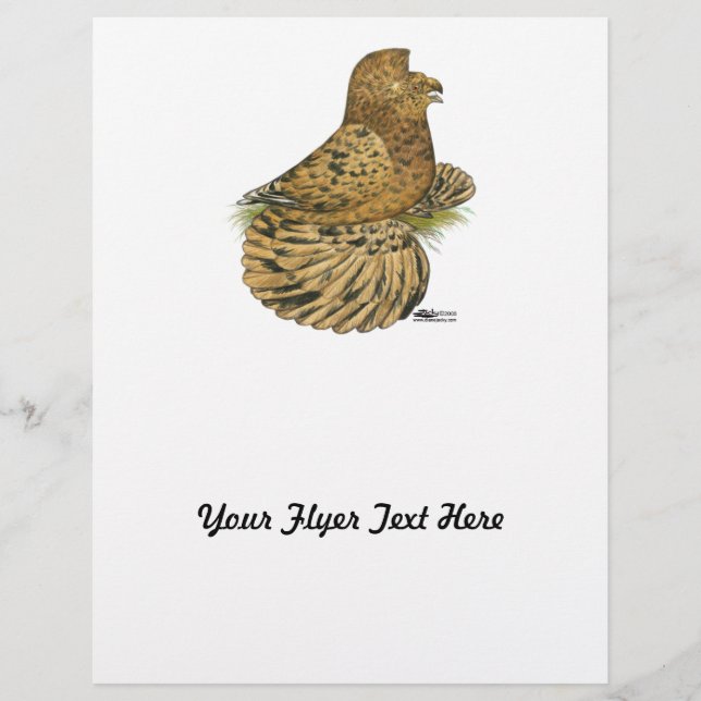 Trumpeter Pigeon Almond Flyer (Front)