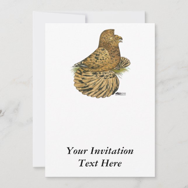 Trumpeter Pigeon Almond Invitation (Front)