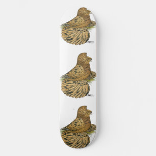 Trumpeter Pigeon Almond Skateboard