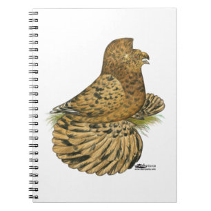 Trumpeter Pigeon Almond Spiral Notebook