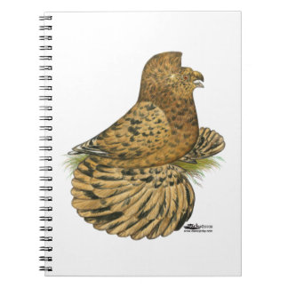 Trumpeter Pigeon Almond Spiral Notebook