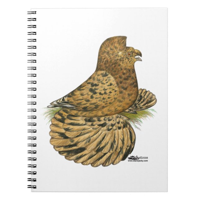 Trumpeter Pigeon Almond Spiral Notebook (Front)
