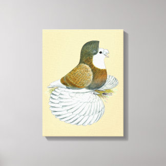 Trumpeter Pigeon AOC Baldhead Canvas Print