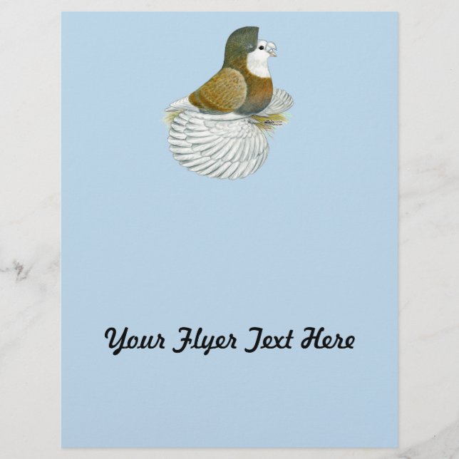 Trumpeter Pigeon AOC Baldhead Flyer (Front)