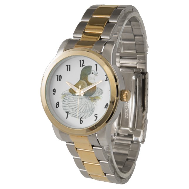 Trumpeter Pigeon AOC Baldhead Watch (Angled)