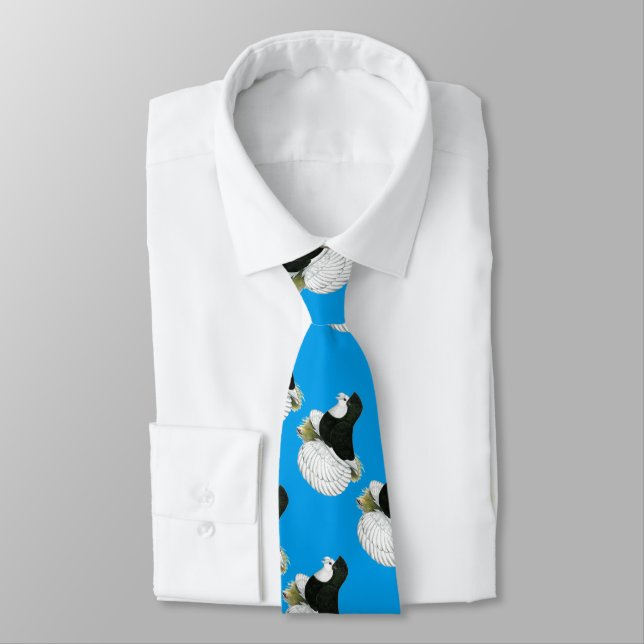Trumpeter Pigeon Black Baldhead Tie (Tied)