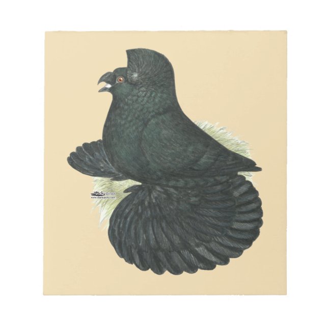 Trumpeter Pigeon Black Notepad (Front)