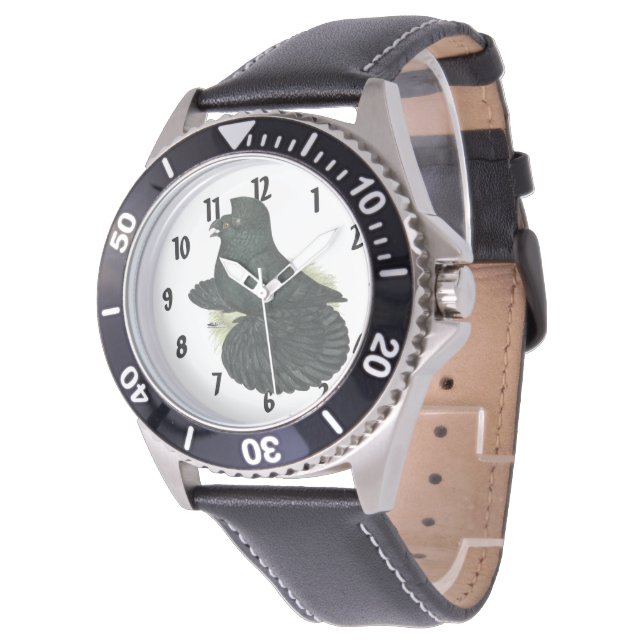 Trumpeter Pigeon Black Watch (Angled)