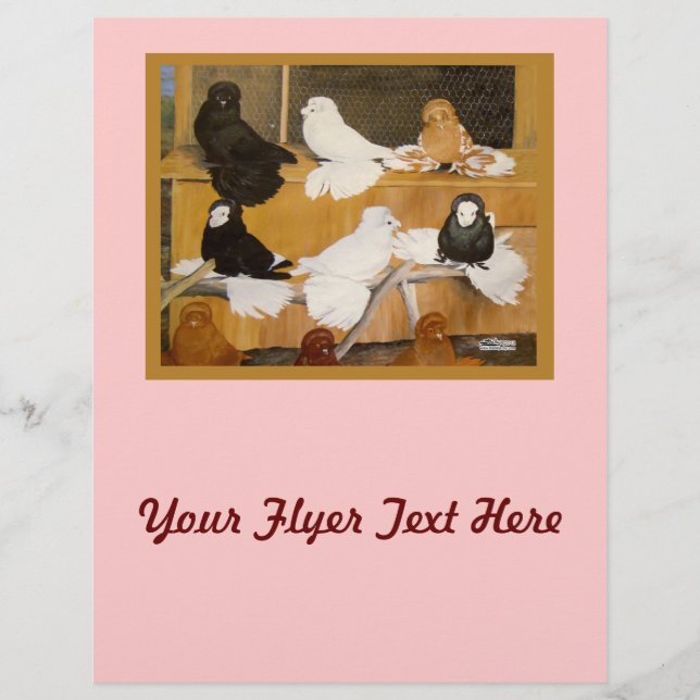 Trumpeter Pigeon Champions Flyer (Front)
