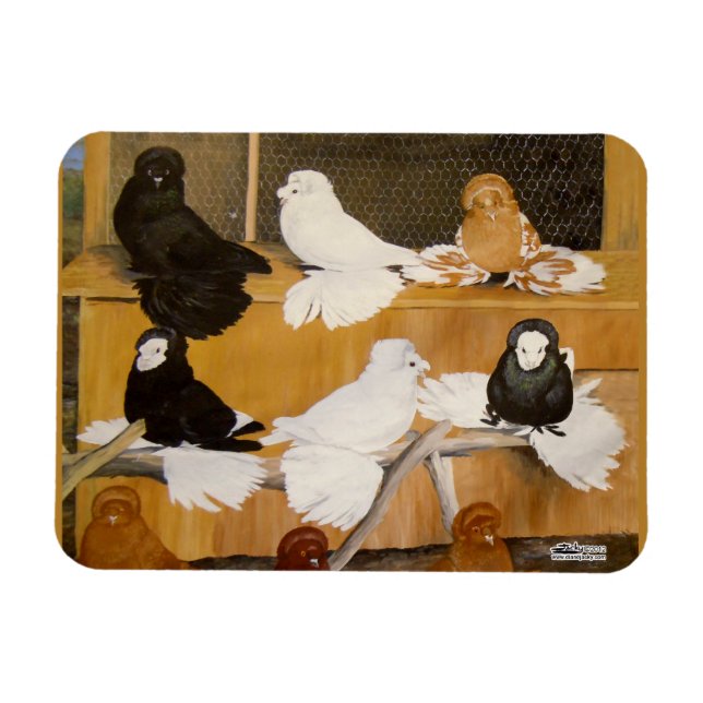 Trumpeter Pigeon Champions Magnet (Horizontal)