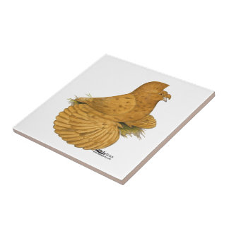 Trumpeter Pigeon Deroy Tile