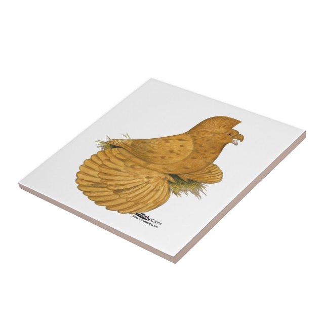 Trumpeter Pigeon Deroy Tile (Side)
