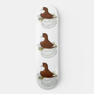 Trumpeter Pigeon Red Baldhead Skateboard