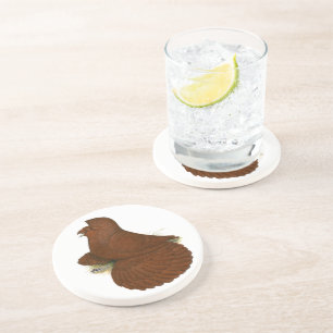 Trumpeter Pigeon Red Coaster