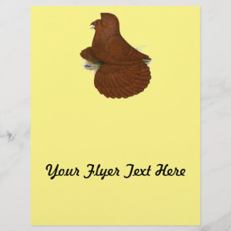 Trumpeter Pigeon Red Flyer