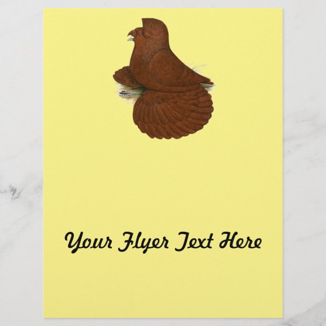 Trumpeter Pigeon Red Flyer (Front)