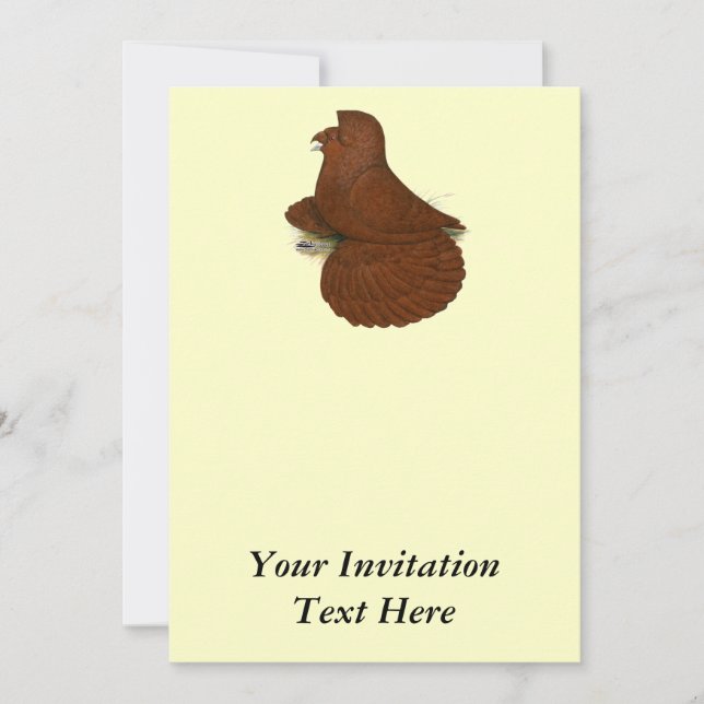 Trumpeter Pigeon Red Invitation (Front)