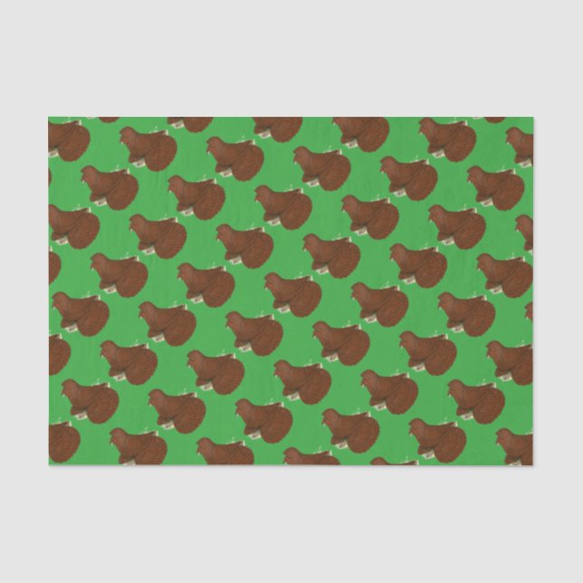 Trumpeter Pigeon Red Tissue Paper (Front)