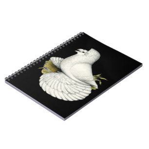 Trumpeter Pigeon White Spiral Notebook