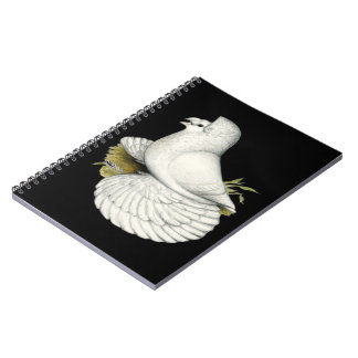 Trumpeter Pigeon White Spiral Notebook