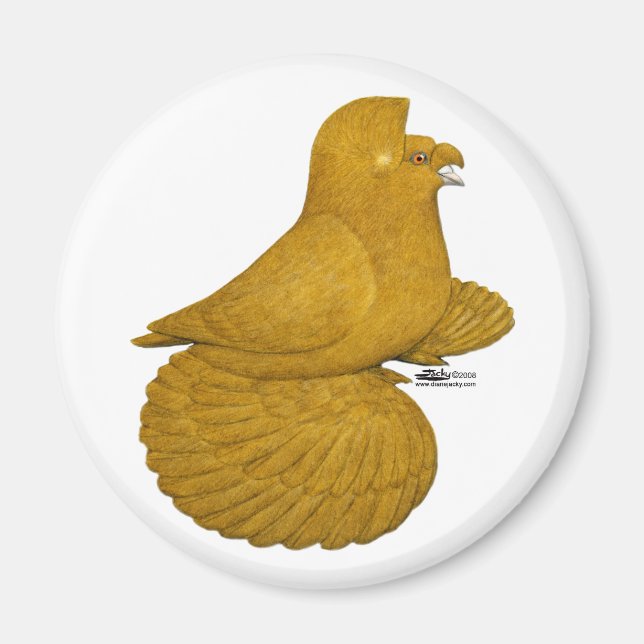 Trumpeter Pigeon Yellow Magnet (Front)