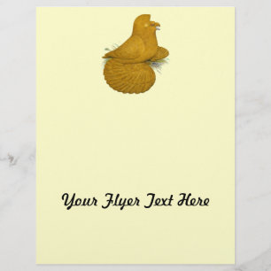 Trumpeter Pigeon Yellow Self Flyer
