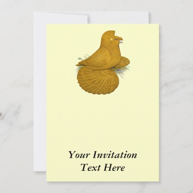 Trumpeter Pigeon Yellow Self Invitation (Front)