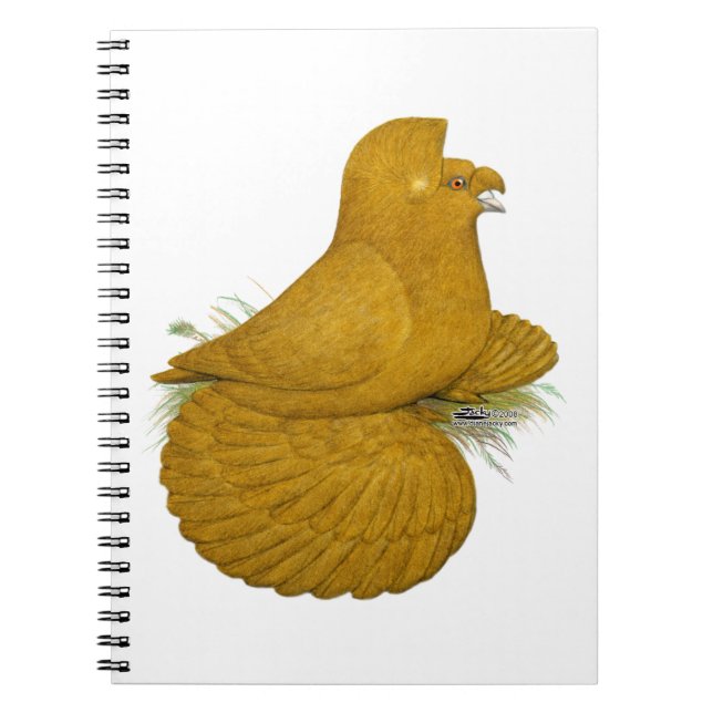 Trumpeter Pigeon Yellow Self Notebook (Front)