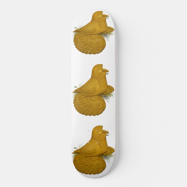 Trumpeter Pigeon Yellow Self Skateboard (Front)