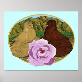 Trumpeter Pigeons and Rose Poster