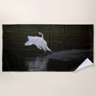 Trumpeter Swan Beach Towel