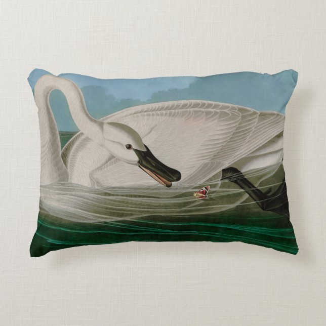 Trumpeter Swan Birds of America Audubon Print Decorative Cushion (Front)