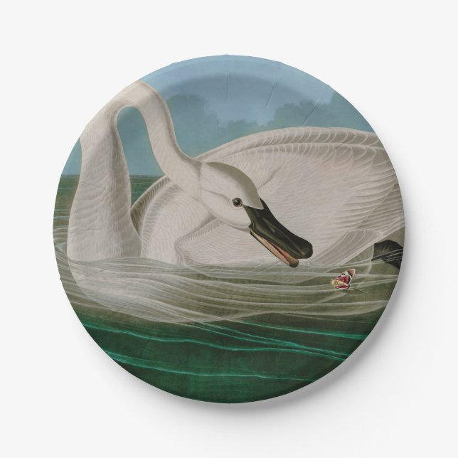 Trumpeter Swan Birds of America Audubon Print Paper Plate (Front)