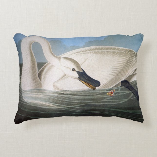 Trumpeter swan by John James Audubon Decorative Cushion (Front)