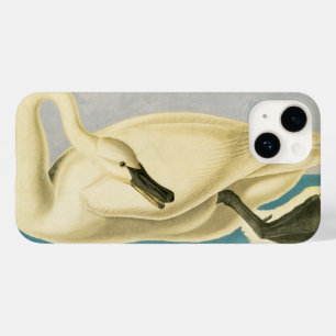 Trumpeter Swan by John James Audubon, Vintage Bird Case-Mate iPhone 14 Case