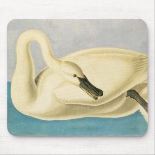 Trumpeter Swan by John James Audubon, Vintage Bird Mouse Pad