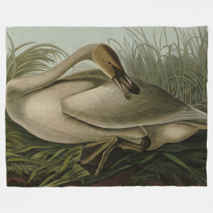 Trumpeter Swan - from Audubon's Birds of America Fleece Blanket