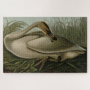 Trumpeter Swan - from Audubon's Birds of America Jigsaw Puzzle