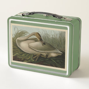 Trumpeter Swan - from Audubon's Birds of America Metal Lunch Box