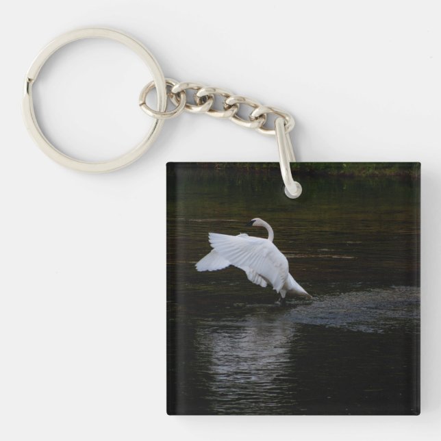 Trumpeter Swan Key Ring (Front)