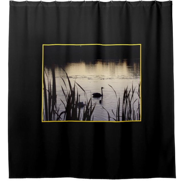Trumpeter Swans at Dusk Shower Curtain (Front)