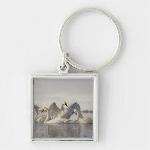 Trumpeter Swans in the Madison River in winter Key Ring