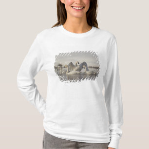Trumpeter Swans in the Madison River in winter T-Shirt